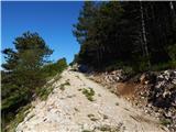 Col - Križna gora above Col